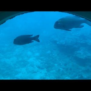 Meet your Posher, Keely